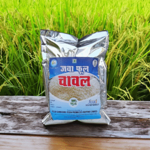 <a href="https://www.mystore.in/en/seller/kelo-samriddh-kisan-producer-company-limited" target="_blank" style="display:inline-block;padding:10px 15px;background-color:#28a745;color:#fff;text-decoration:none;border-radius:5px;font-weight:bold;">π Buy Now</a>