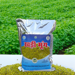 <a href="https://www.mystore.in/en/seller/maa-narmada-kisan-utpadak-sahkari-samiti-mariyadit-timarni" target="_blank" style="display:inline-block;padding:10px 15px;background-color:#28a745;color:#fff;text-decoration:none;border-radius:5px;font-weight:bold;">π Buy Now</a>