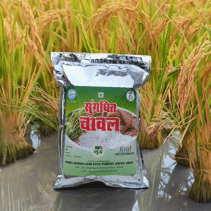 <a href="https://www.mystore.in/en/seller/pendra-marwahi-javik-krishi-producer-company-limited" target="_blank" style="display:inline-block;padding:10px 15px;background-color:#28a745;color:#fff;text-decoration:none;border-radius:5px;font-weight:bold;">π Buy Now</a>