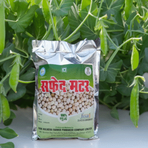 <a href="https://www.mystore.in/en/seller/bada-malhera-bundelkhand-producer-company-limited" target="_blank" style="display:inline-block;padding:10px 15px;background-color:#28a745;color:#fff;text-decoration:none;border-radius:5px;font-weight:bold;">π Buy Now</a>